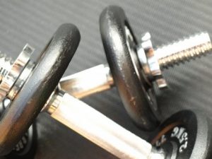 which-gym-should-i-choose